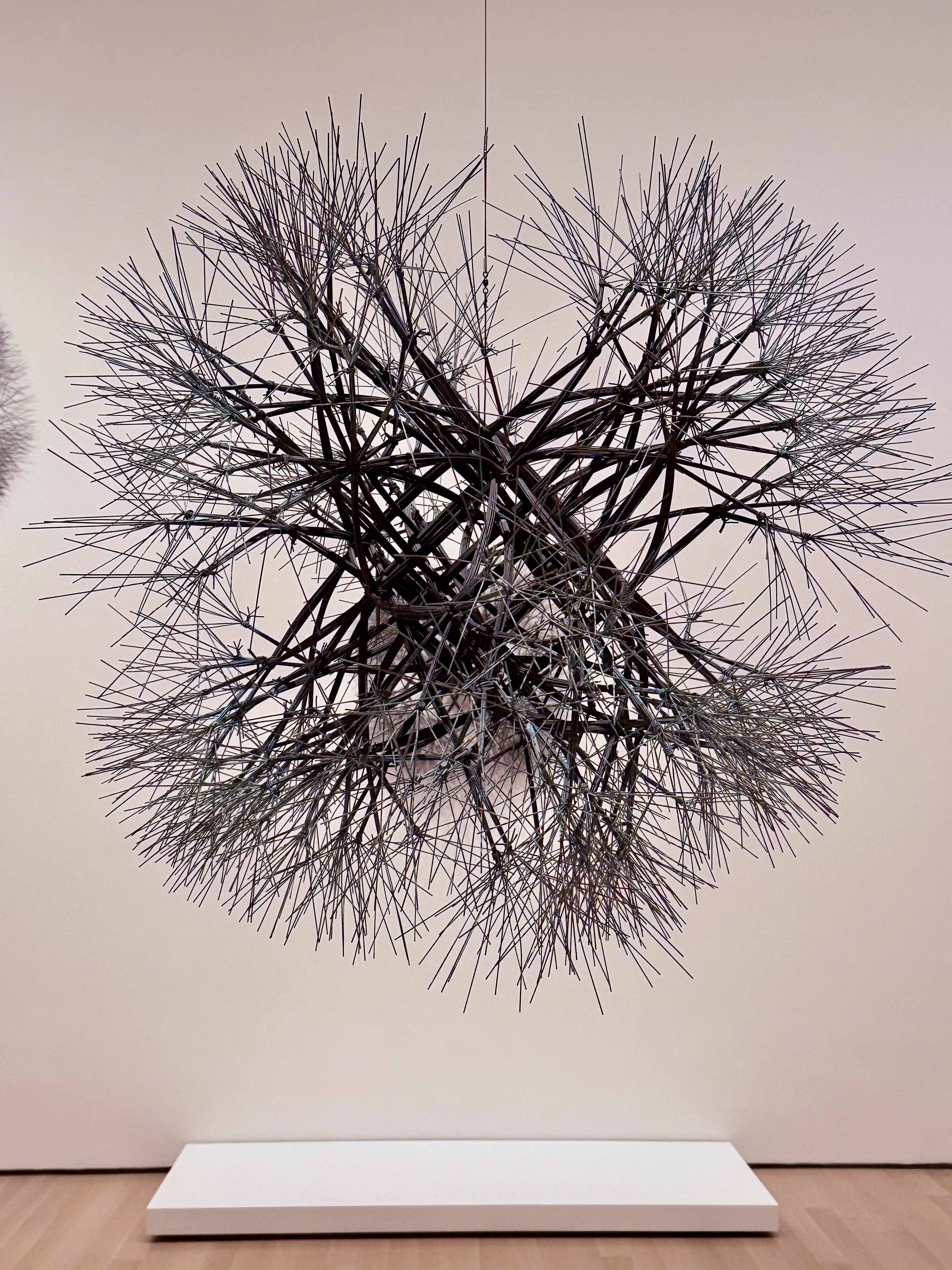 A profound moment from her work delivering babies in the Minneapolis Somali community and beyound